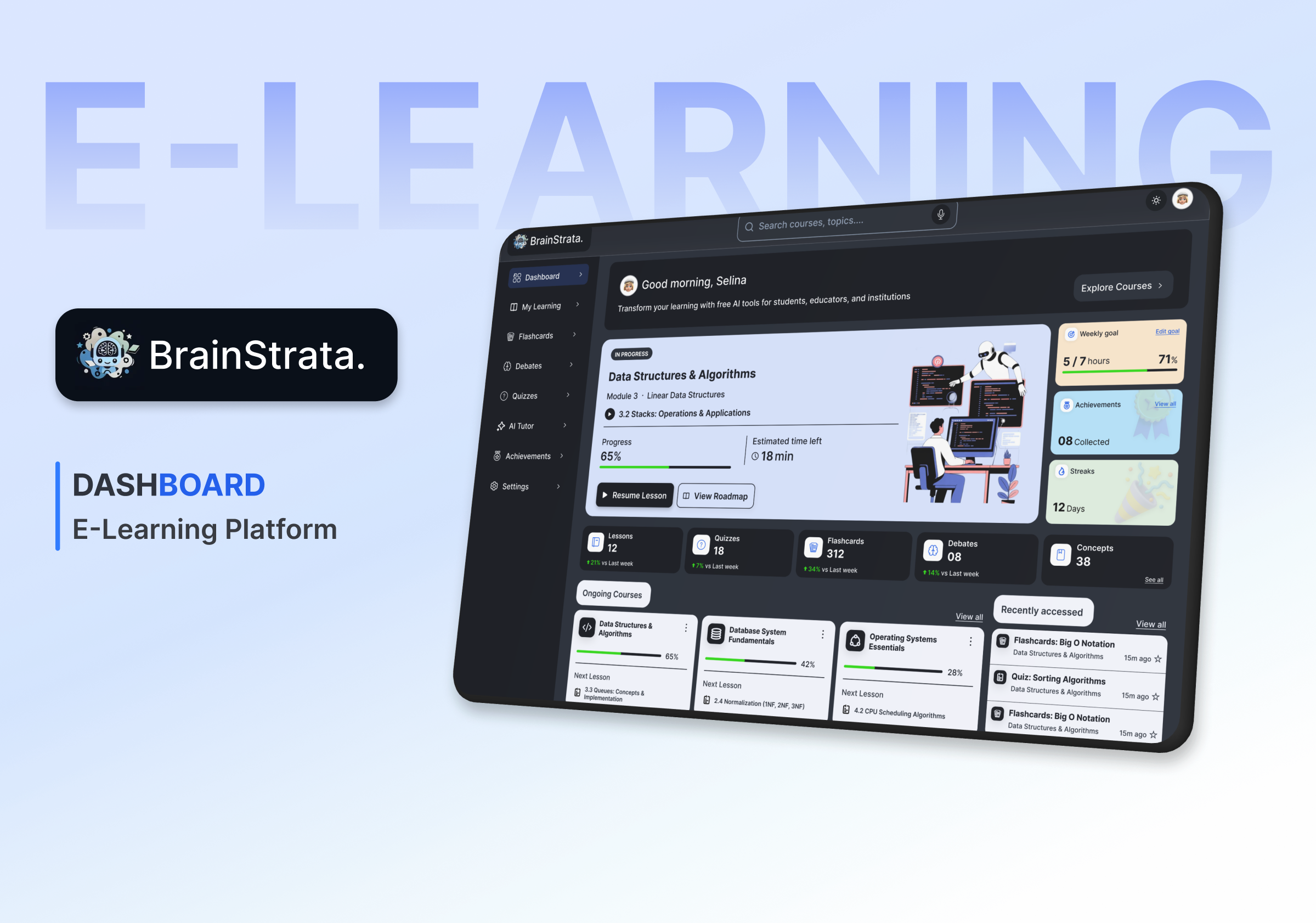 BrainStrata Project